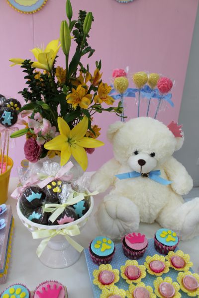 festa_ursa_princesa_scrapencanto (11)