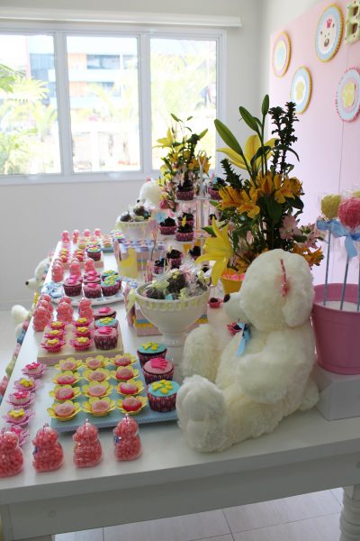 festa_ursa_princesa_scrapencanto (3)