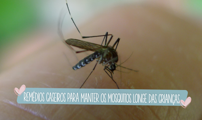 remedios caseiros para manter os mosquitos longe das criancas