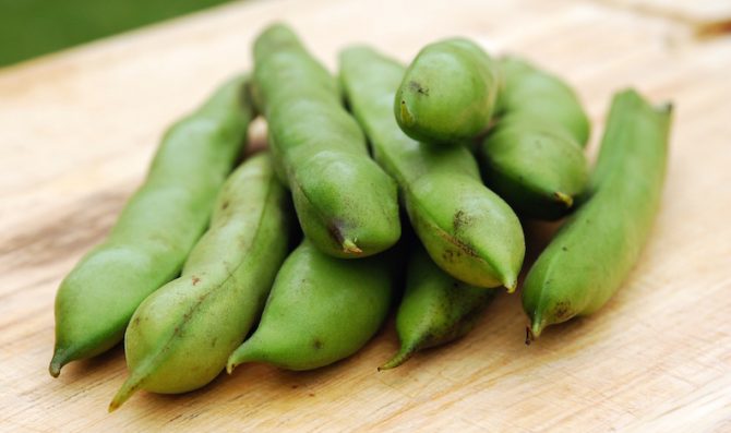 Alimentos colica
