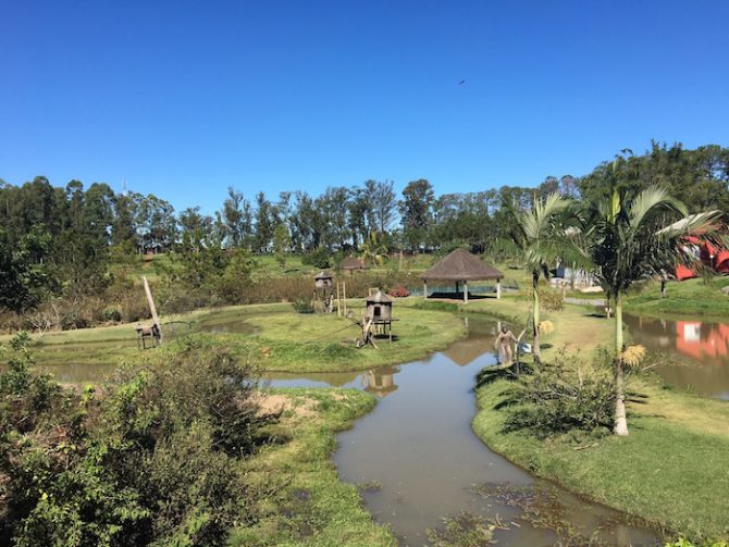 MAVSA ZOO