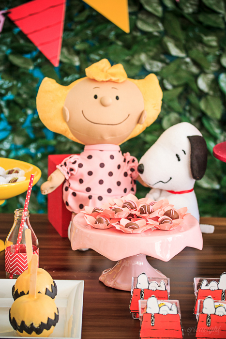Decoração da festa de um aninho da Pietra, com o tema Snoopy, feita com o maior carinho pela Up Arts Ateliê de Festas! Registrado dia 26.06.2016, por éricavighifoto!