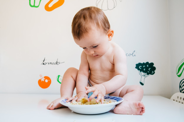 introdução alimentar e livre demanda
